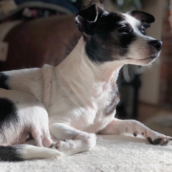 πΈπ½ - Picture 10 of 12